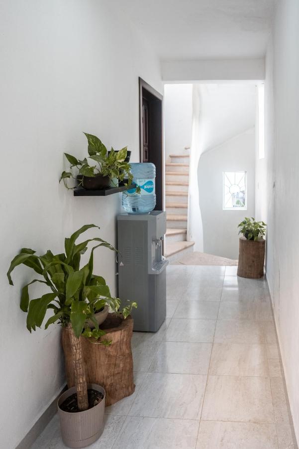Xiinbal Rooms Bacalar Bagian luar foto